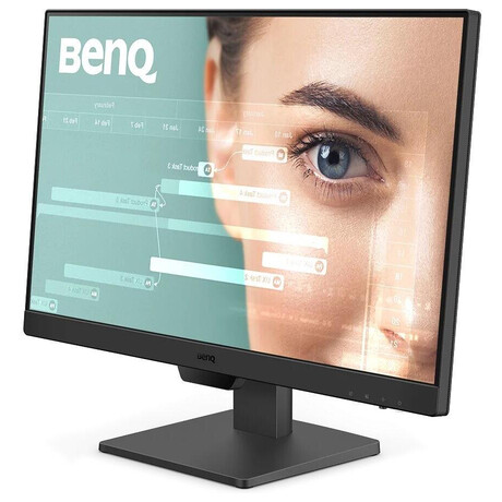 Monitor BenQ BL2490