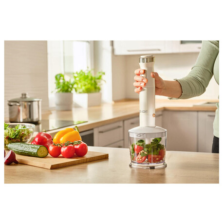 Tyčový mixér Sencor SHB 6551WH