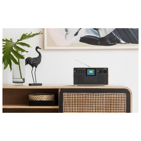 JVC RA-E731B-DAB, dřevěný/černý (foto 4)