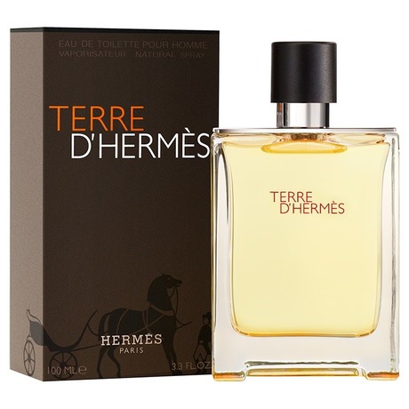 Toaletn voda Hermes Terre dHermes, 100 ml