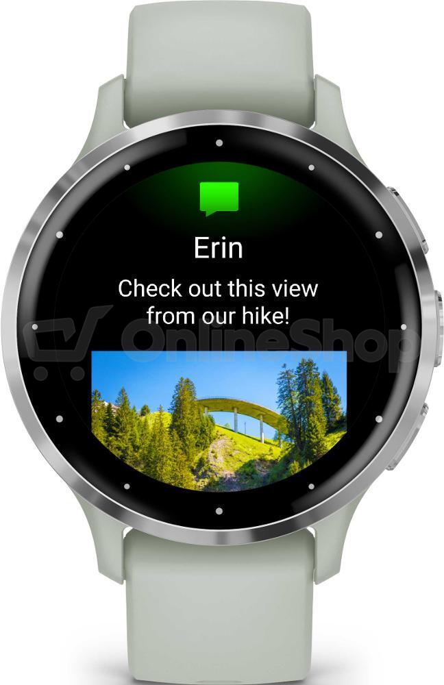 Chytré hodinky Garmin Venu 3S, stříbrné