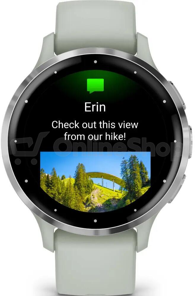 Chytré hodinky Garmin Venu 3S, stříbrné