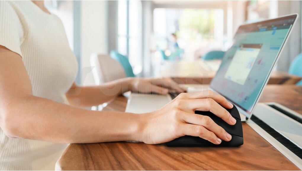 EVOLVEO TwinVerti, vertikální tichá ergonomická