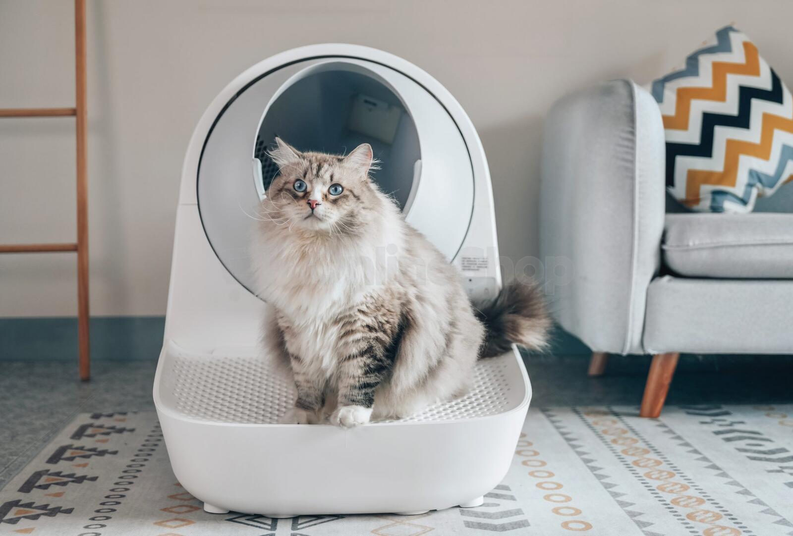 Kočičí toaleta Catlink AI Scooper Young