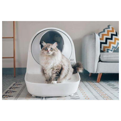 Catlink AI&nbsp;Scooper Young (foto 4)