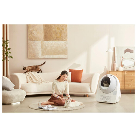 Catlink AI&nbsp;Scooper Young (foto 5)