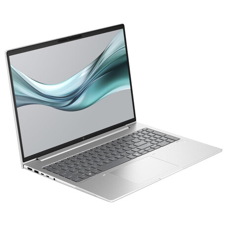 Notebook HP EliteBook 665 G11 A37Z0ET