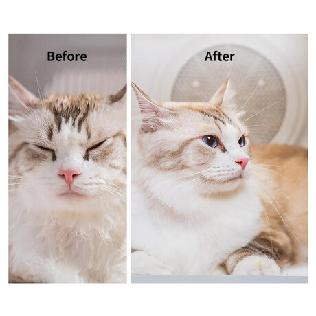 Vysoue srsti PetKit AirSalon Max Pro