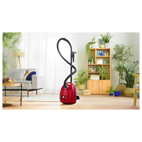 Bosch BGB38RD2 (foto 1)