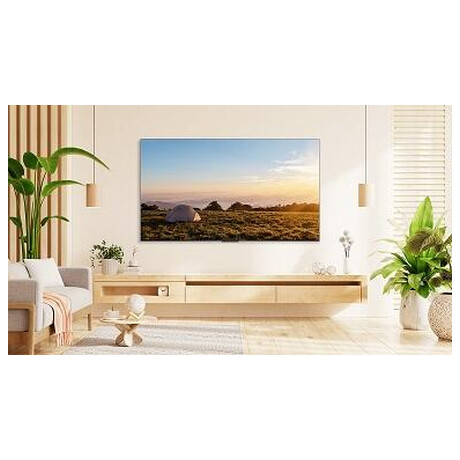 TCL 65P655 (foto 6)