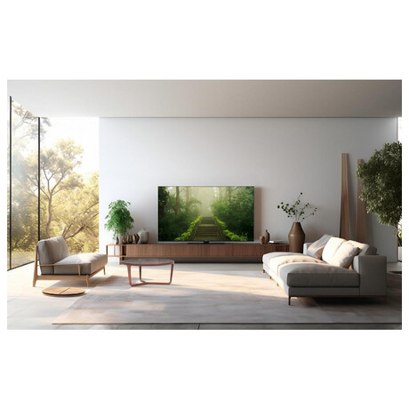Panasonic TB-65W60AEZ (foto 10)