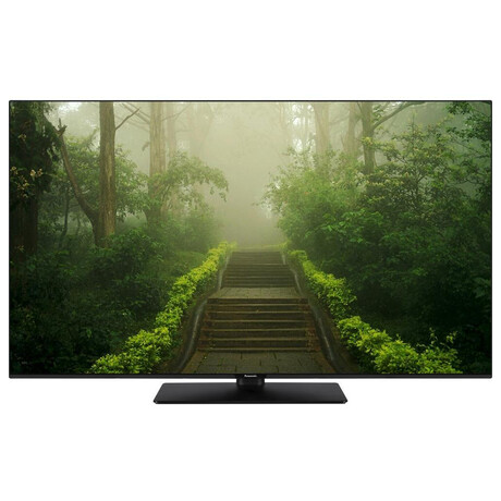 Panasonic TB-65W60AEZ (foto 2)