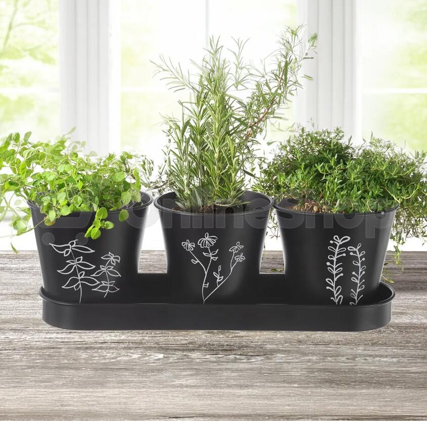 Květináč bylinky Orion BLACK 11cm, 3 ks