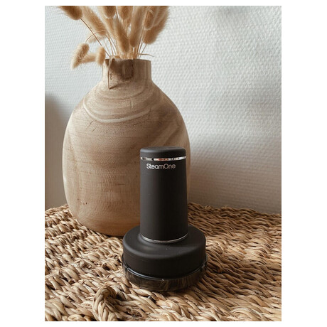 SteamOne RP10B (foto 5)