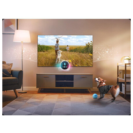 OLED TV Samsung QE55S90F