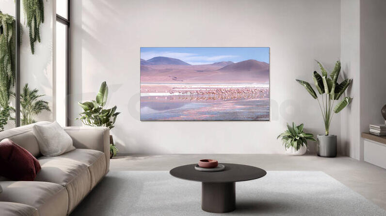QLED televize TCL 55P7K