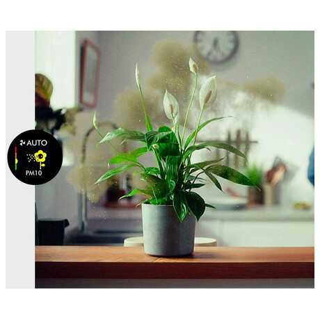 Dyson Purifier Humidify+Cool PH2 De-NOx PH05 (foto 8)