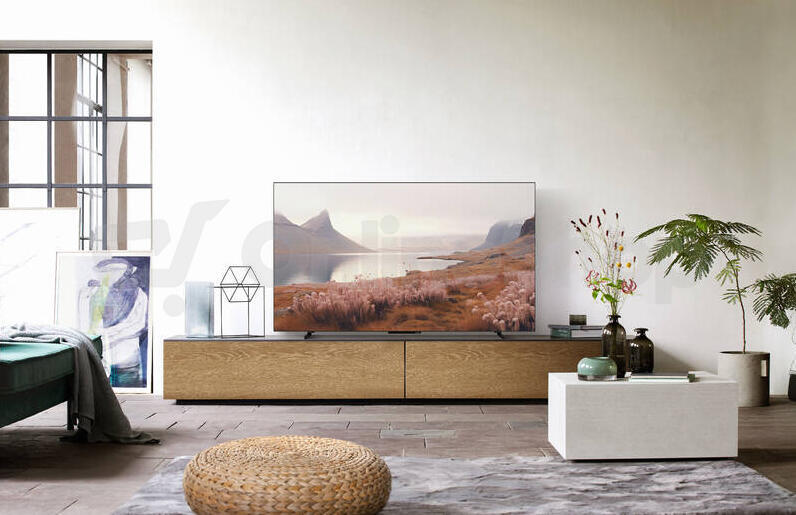 OLED televize Panasonic TB-55Z60AEG