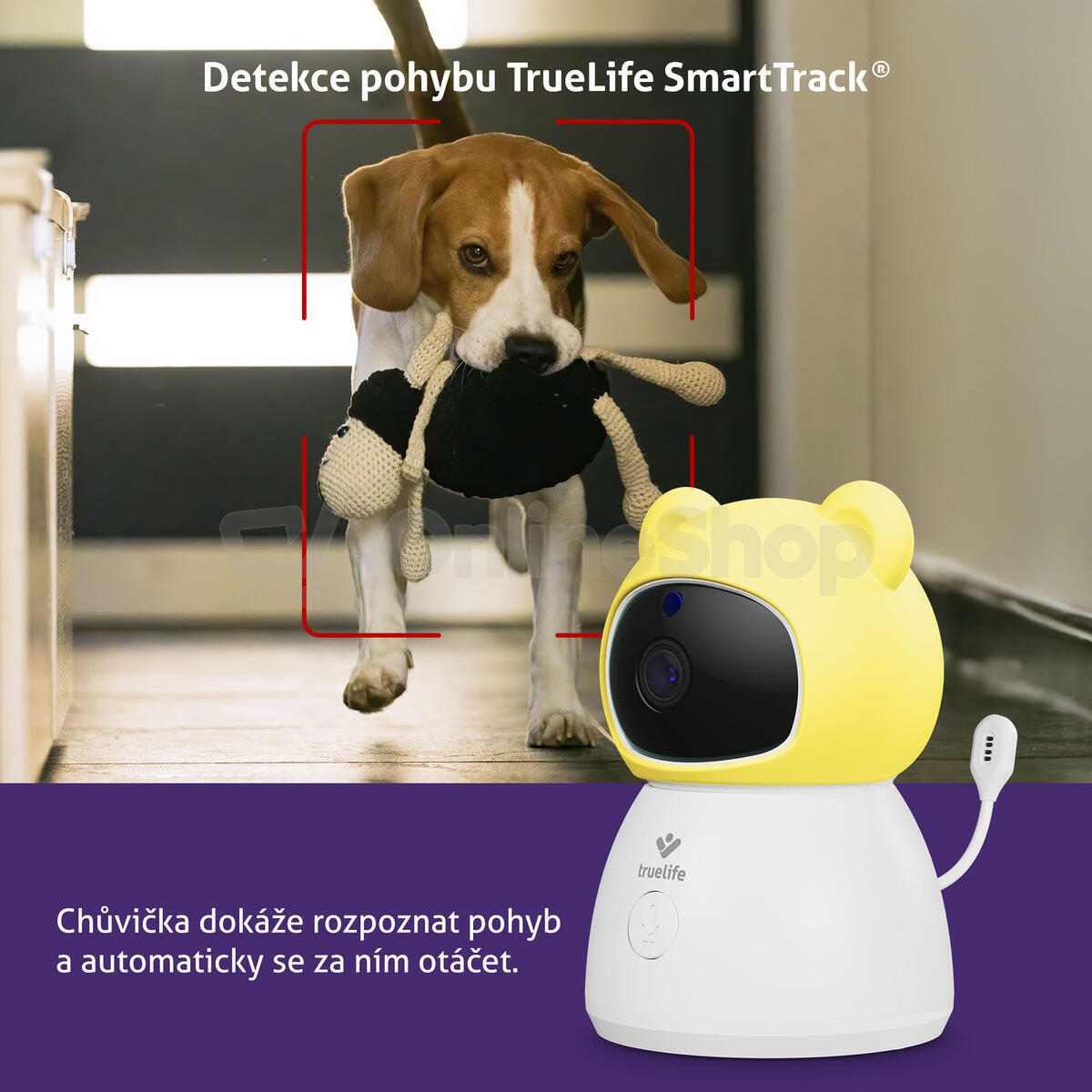 Chytrá chůvička TrueLife NannyCam R6 Dual Smart