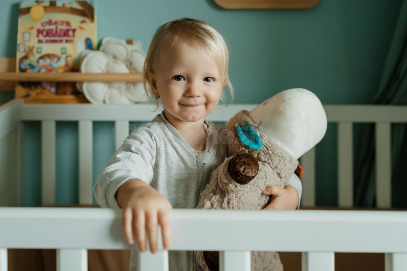 Ovečka uspávačka Teddies projektor