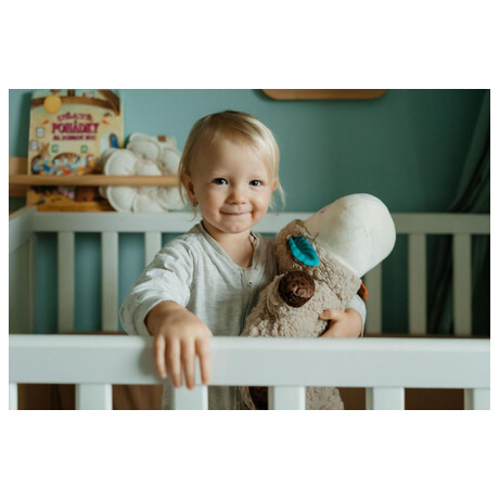 Teddies projektor (foto 5)