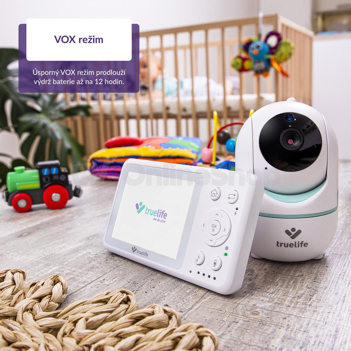 TrueLife NannyCam R4i
