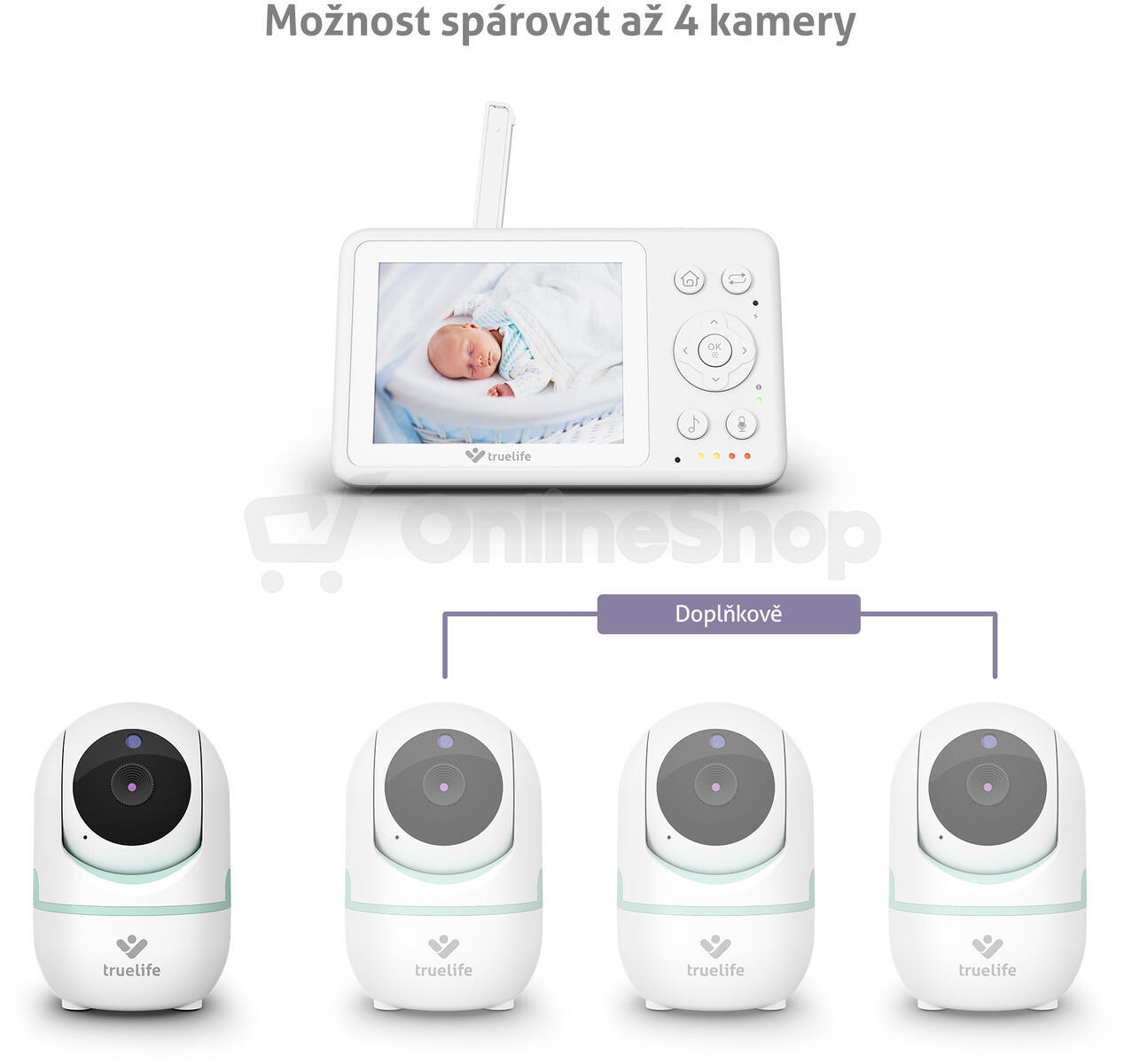 TrueLife NannyCam R4i