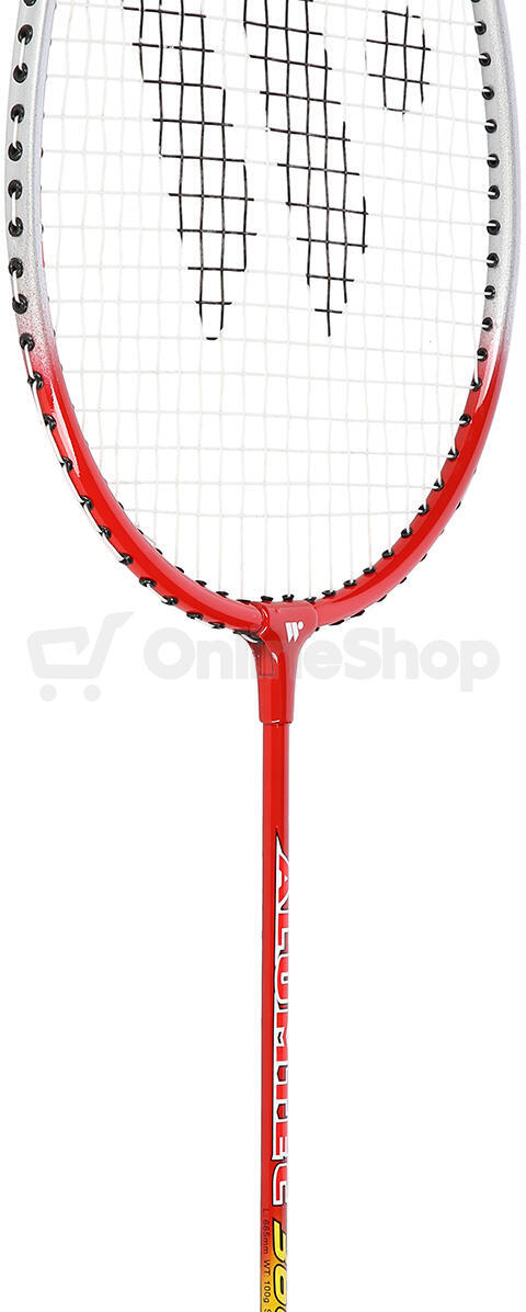 Badmintonový set WISH Alumtec 366k