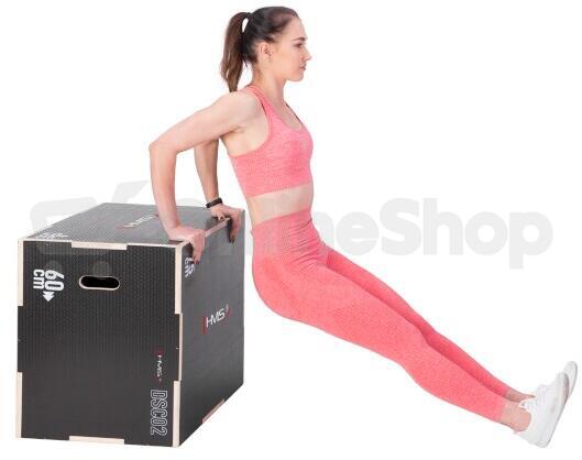 Plyo Box HMS DSC02