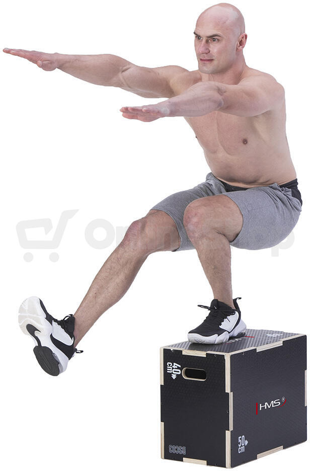 Plyo Box HMS DSC03