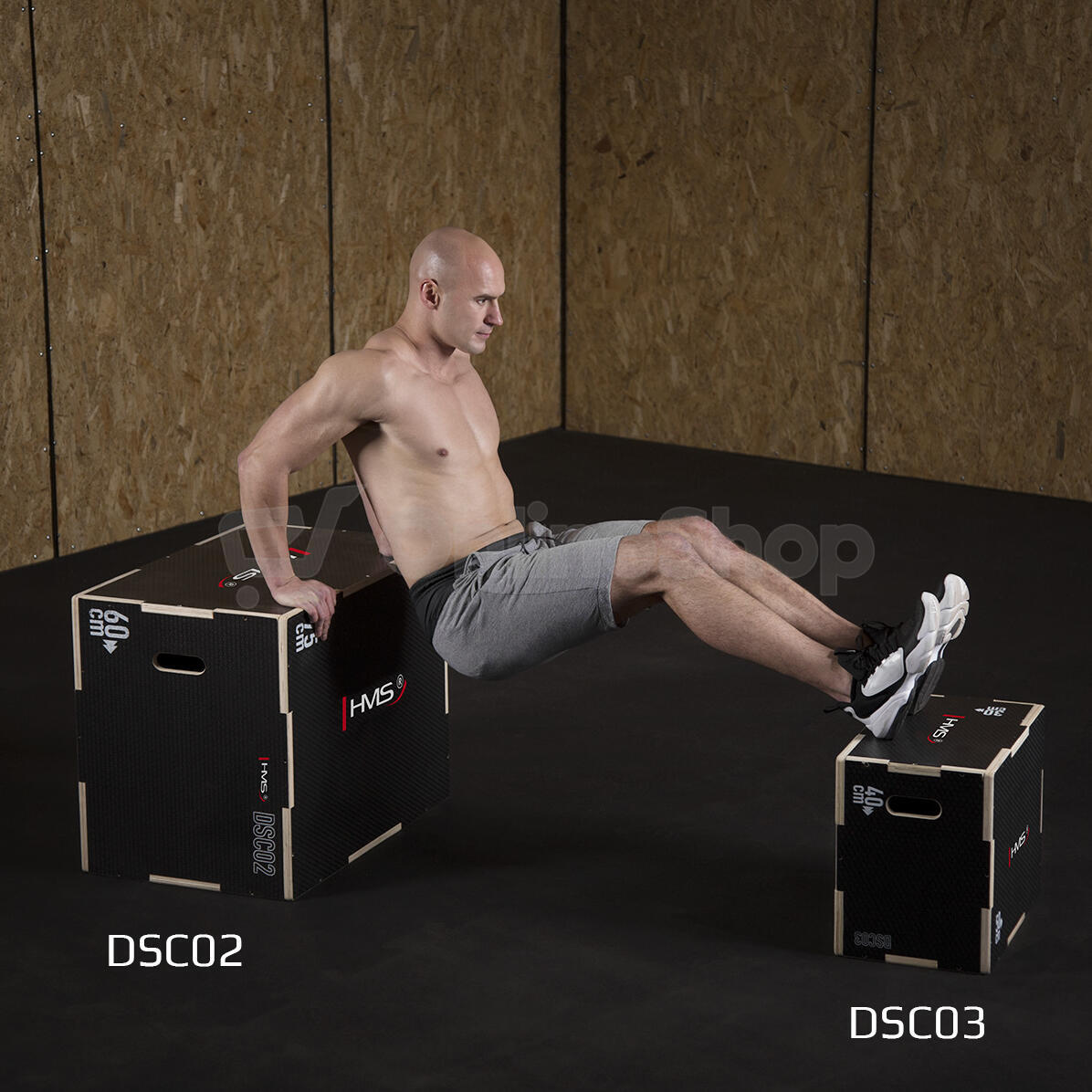 Plyo Box HMS DSC03
