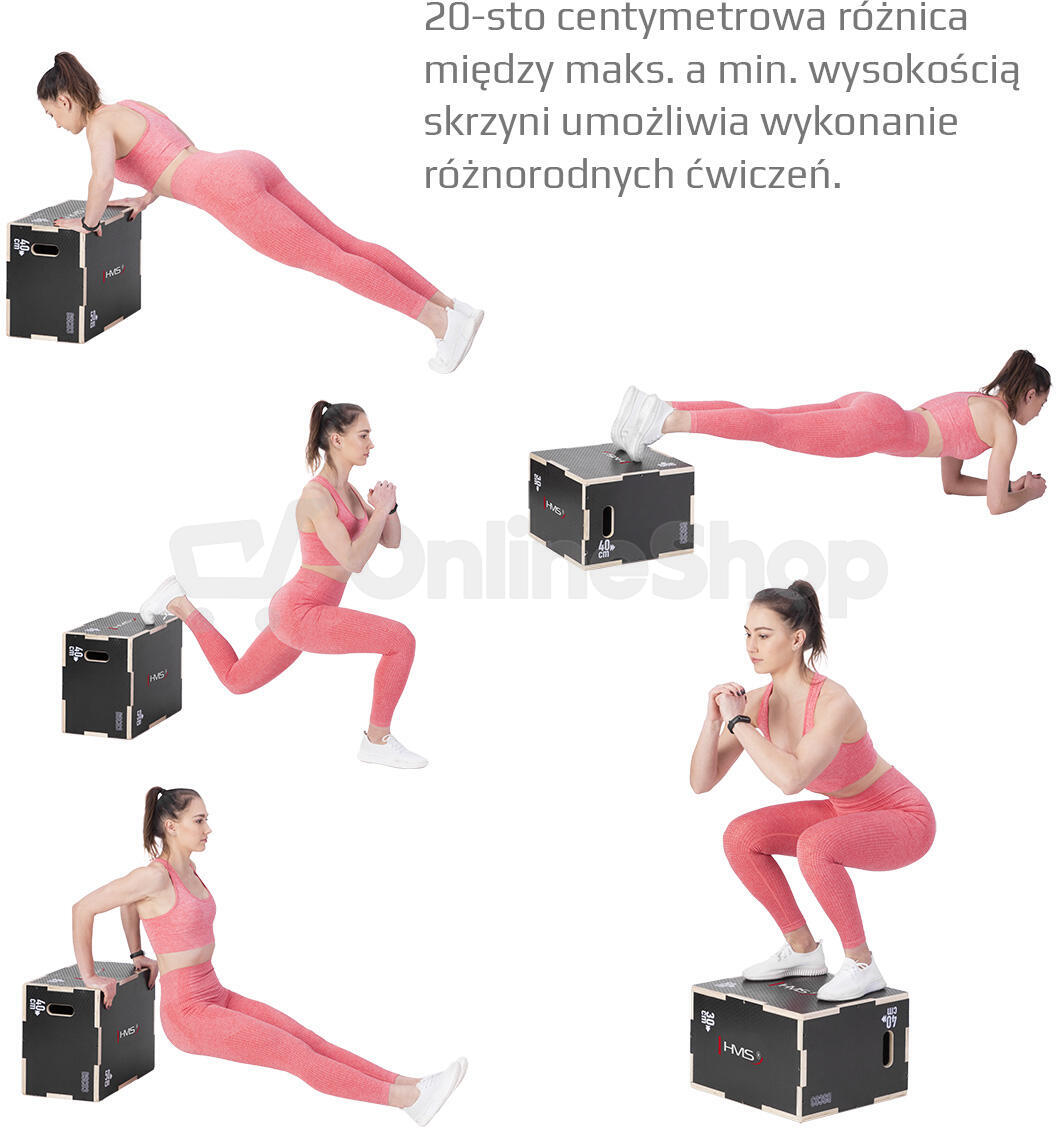 Plyo Box HMS DSC03