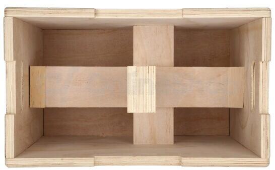 Plyo Box HMS DSC04
