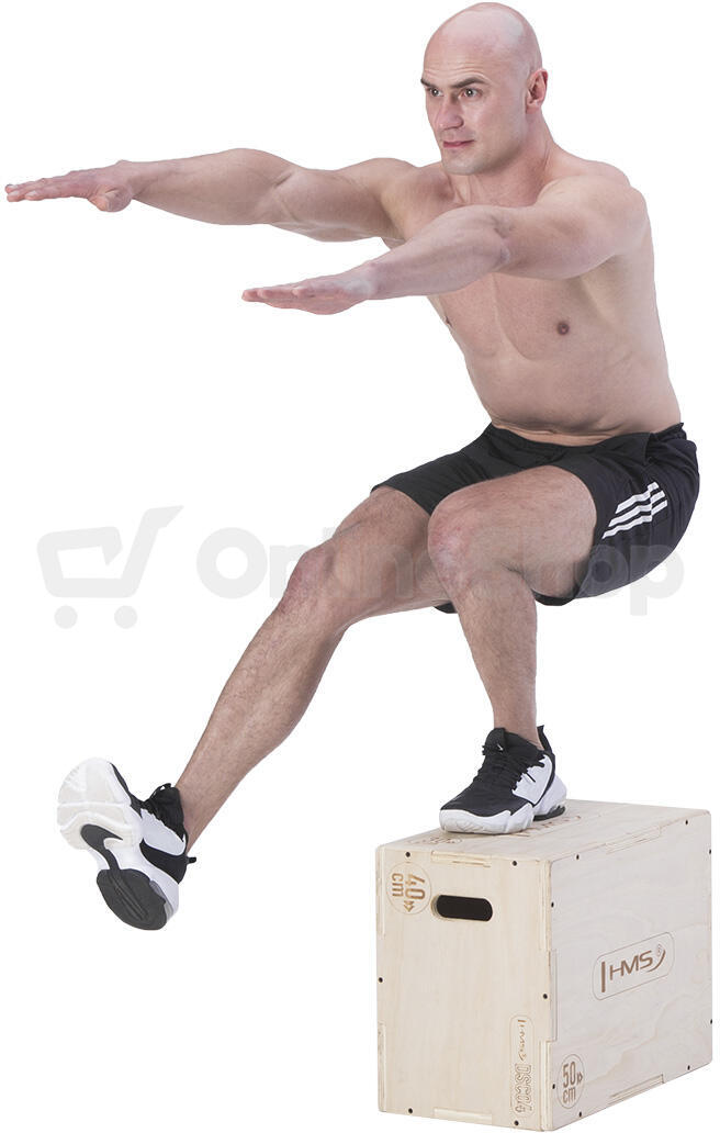 Plyo Box HMS DSC04