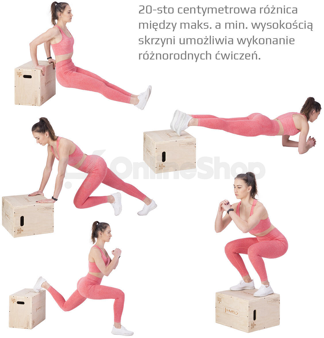 Plyo Box HMS DSC04