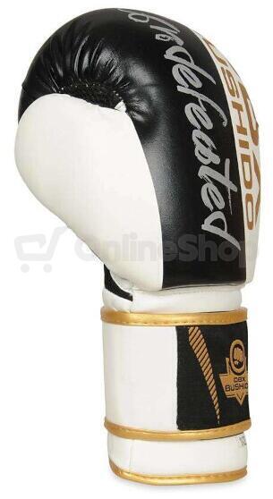 Boxerské rukavice DBX BUSHIDO B-2v16