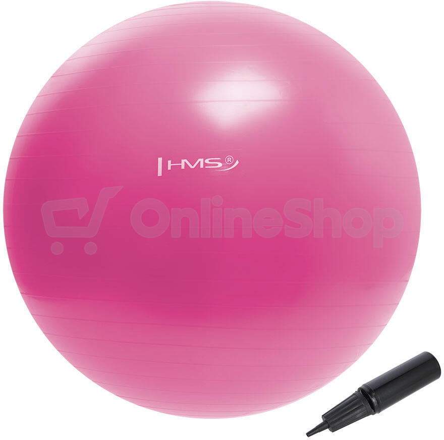 Gymnastický míč HMS YB01N 55 cm růžový