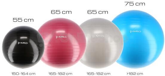 Gymnastický míč HMS YB01N 55 cm růžový