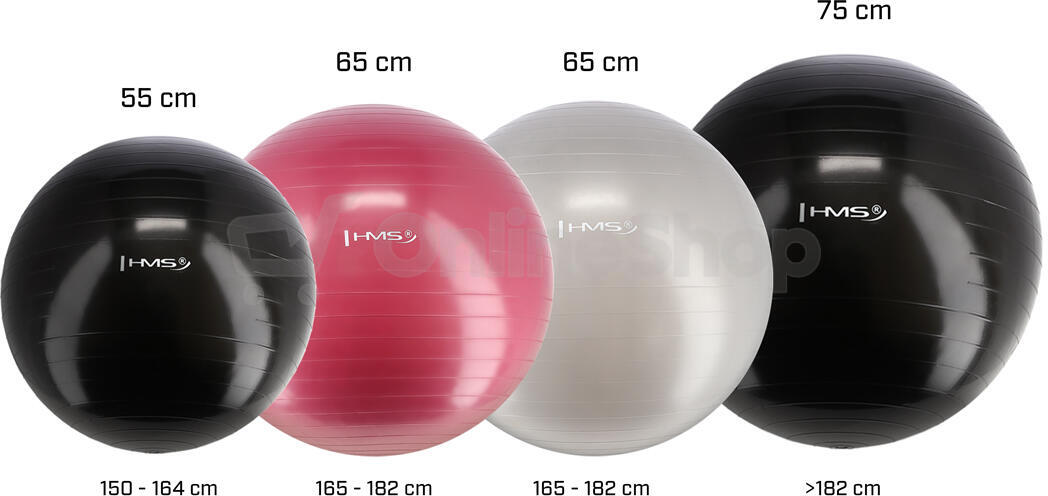 Gymnastický míč HMS YB01N 75 cm černý