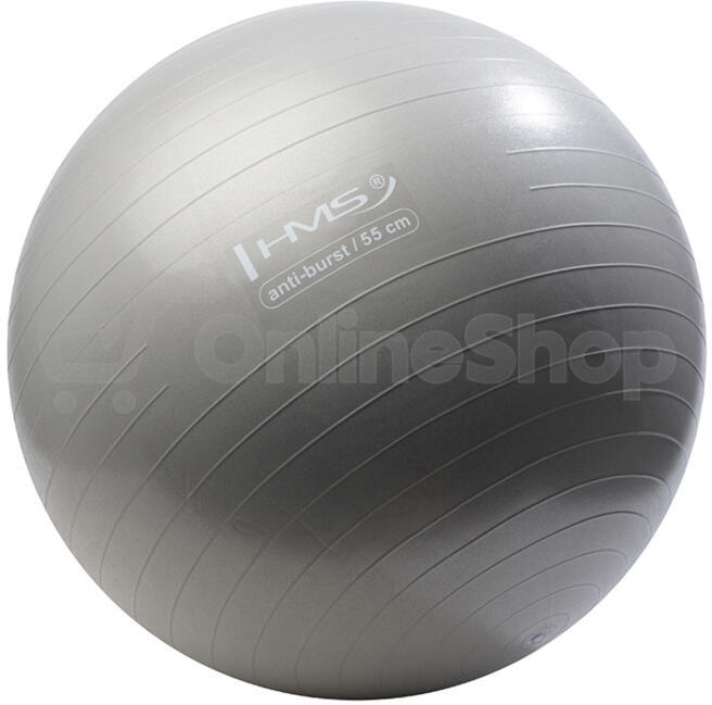 Gymnastický míč HMS YB02N 55 cm šedý
