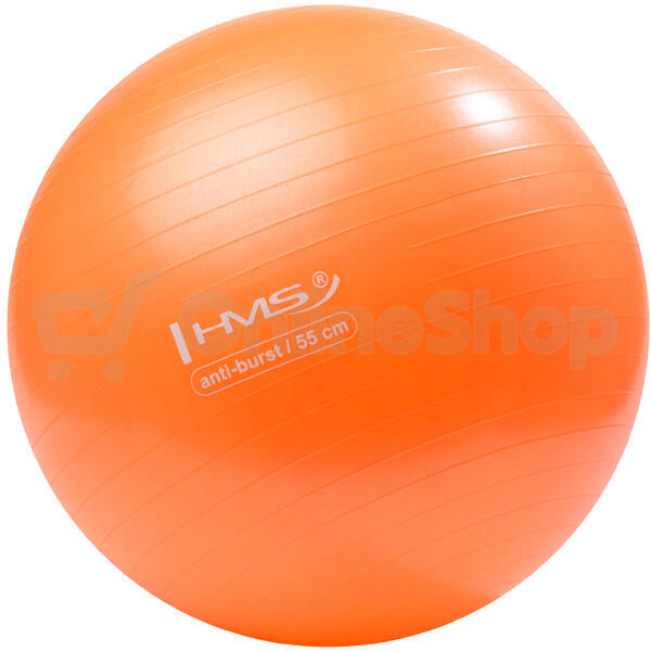 Gymnastický míč HMS YB02N 55 cm oranžový