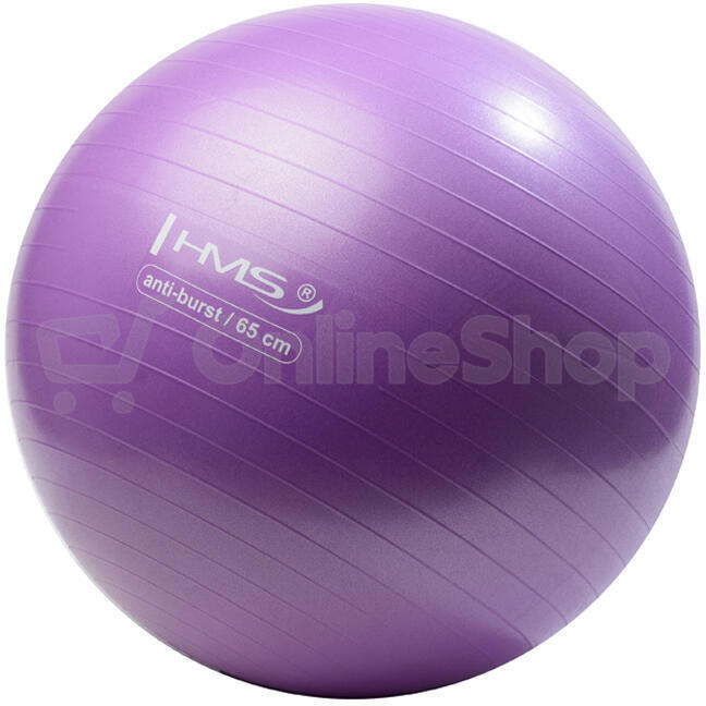 Gymnastický míč HMS YB02N 65 cm fialový