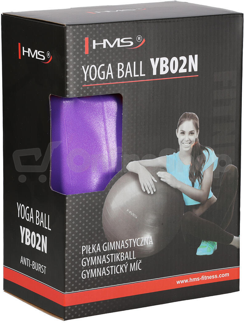 Gymnastický míč HMS YB02N 65 cm fialový