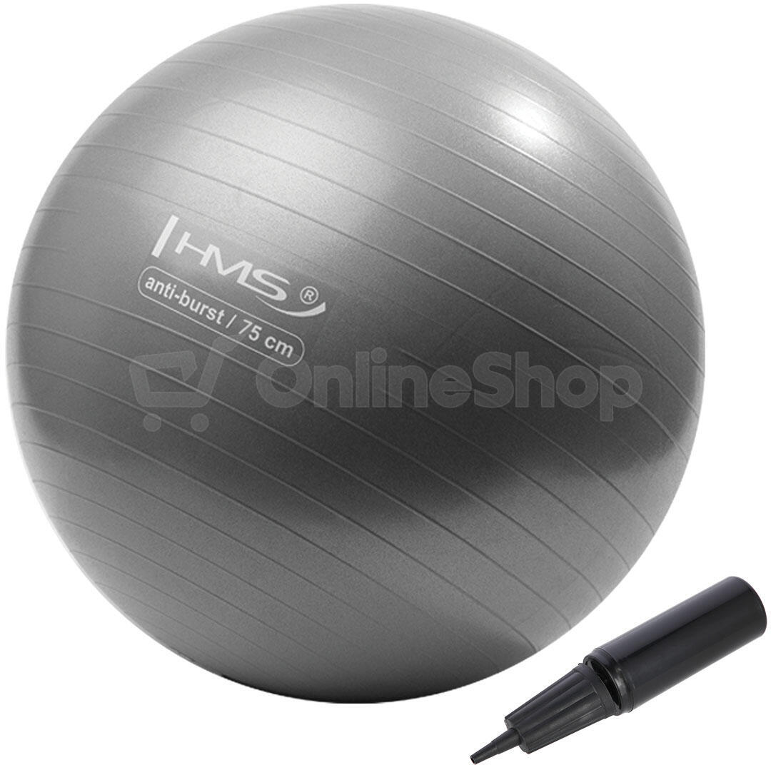Gymnastický míč HMS YB02N 75 cm šedo-stříbrný