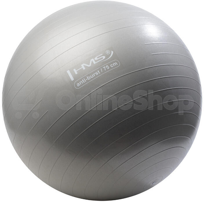 Gymnastický míč HMS YB02N 75 cm šedo-stříbrný