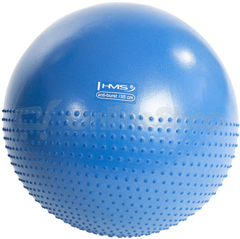 Masážní gymnastický míč HMS YB03N 55 cm modrý