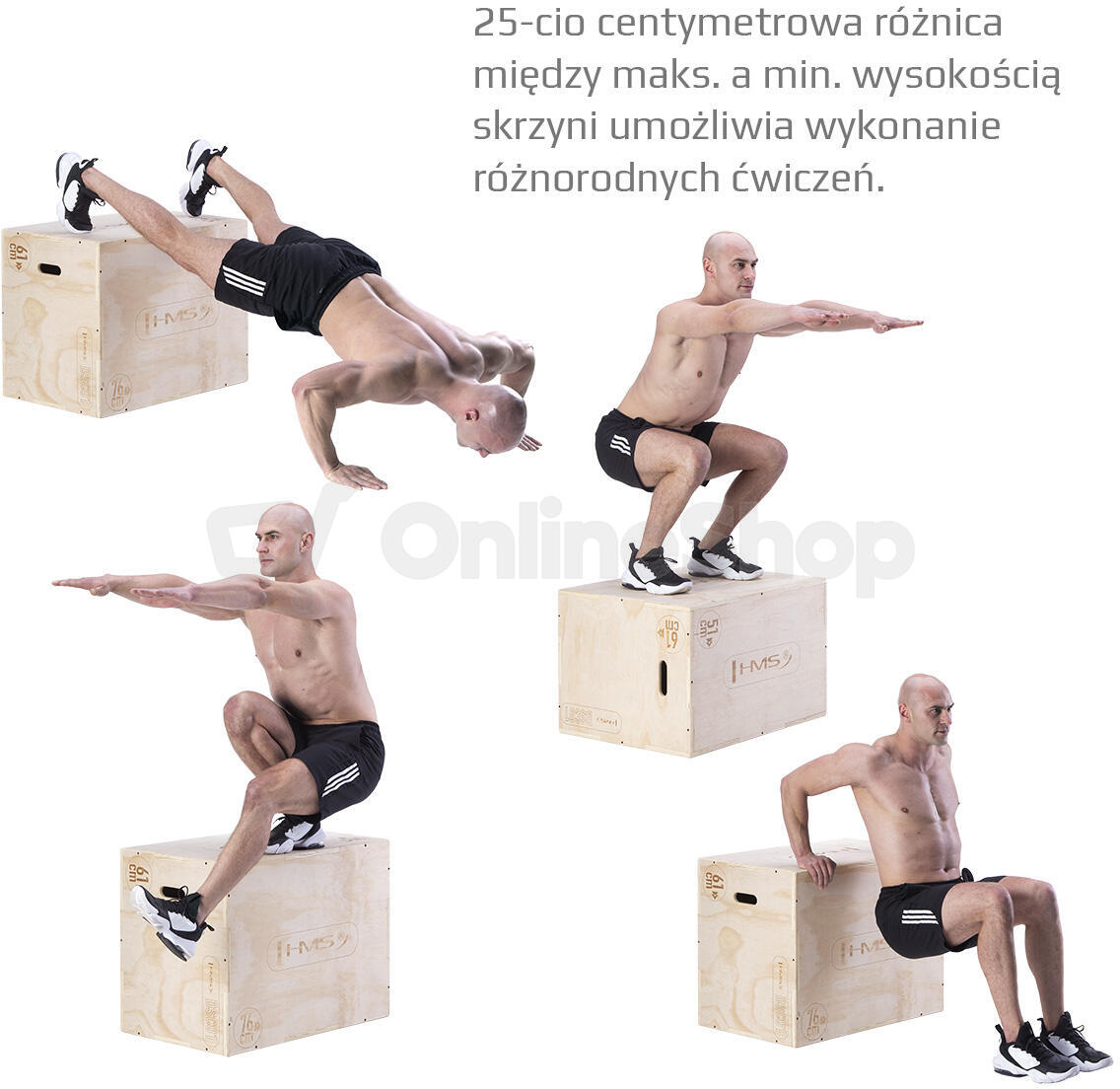 Plyo Box HMS DSC01