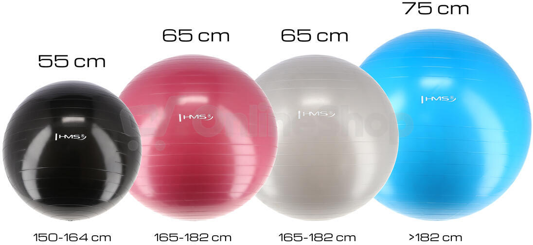 Gymnastický míč HMS YB01N 55 cm modrý