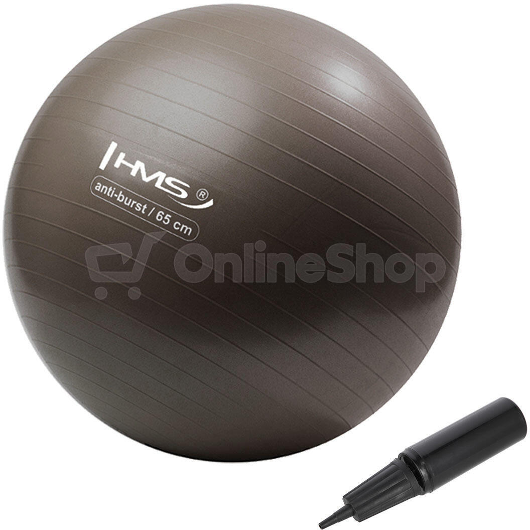 Gymnastický míč HMS YB02N 65 cm bronzový