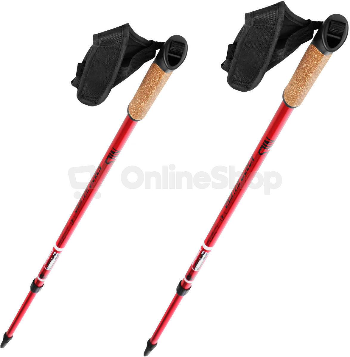 NW 802 NORDIC WALKING HOLE NILS EXTREME